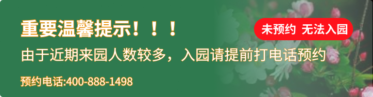 涿州卧龙公墓